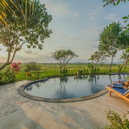 Villa D'Carik Bali Denpasar Extérieur photo