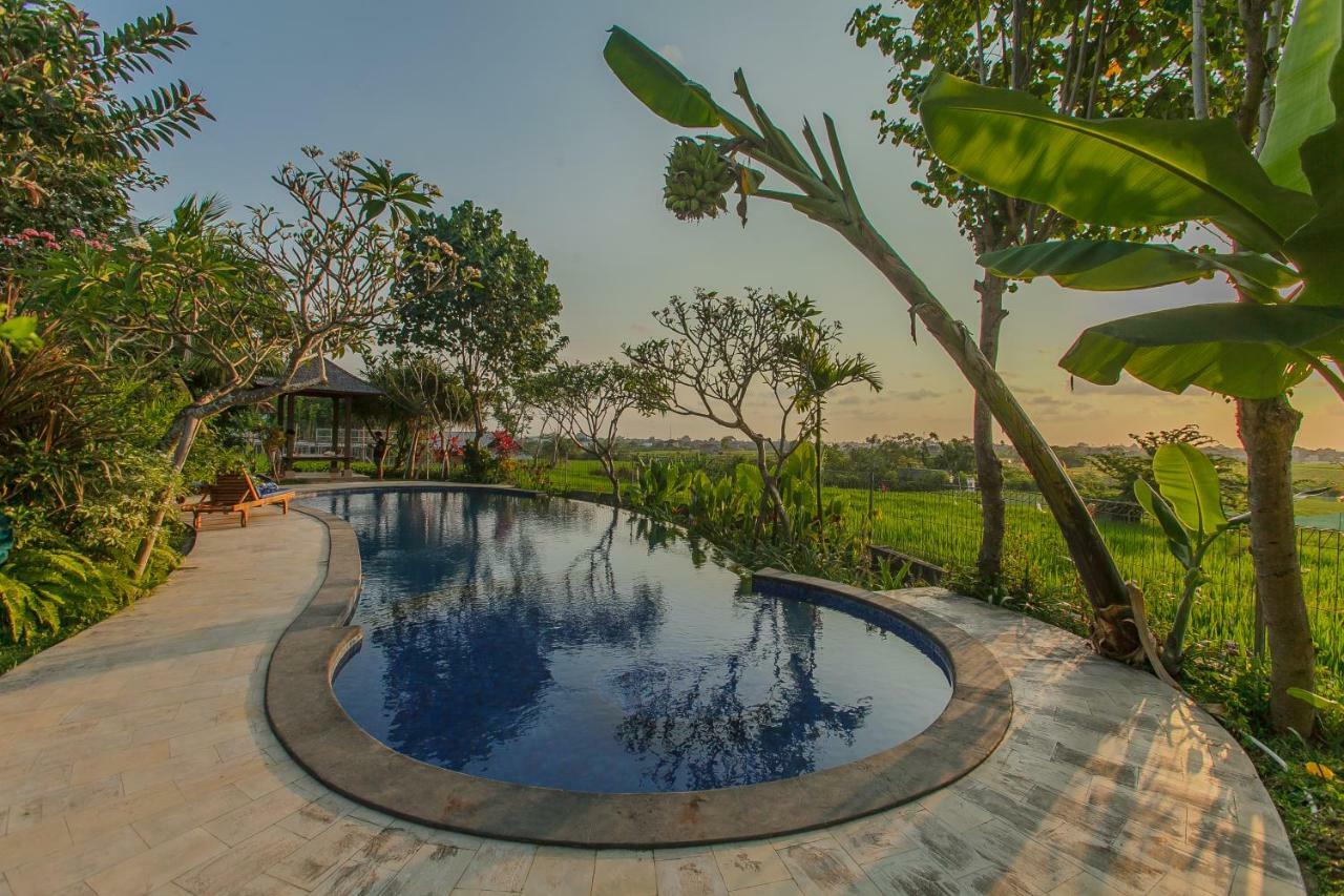 Villa D'Carik Bali Denpasar Extérieur photo