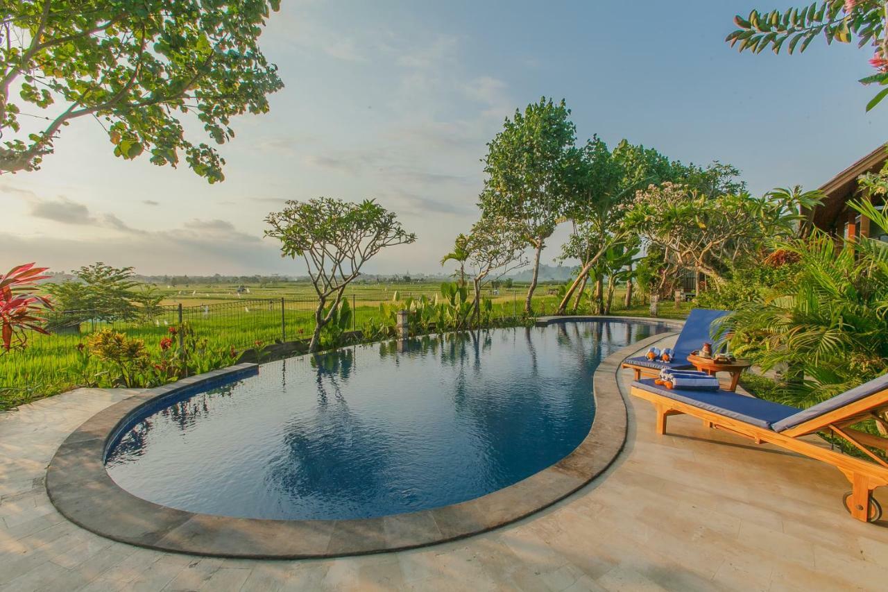 Villa D'Carik Bali Denpasar Extérieur photo