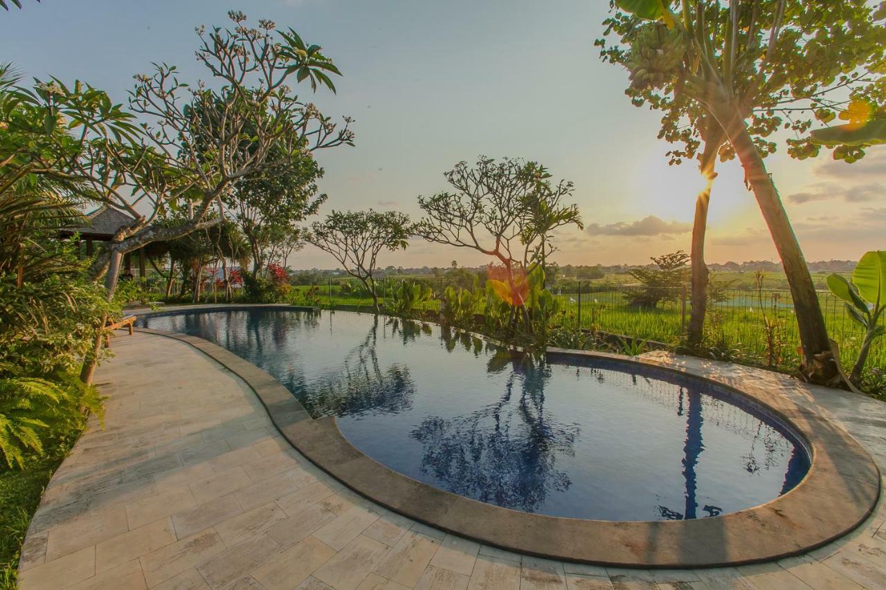 Villa D'Carik Bali Denpasar Extérieur photo